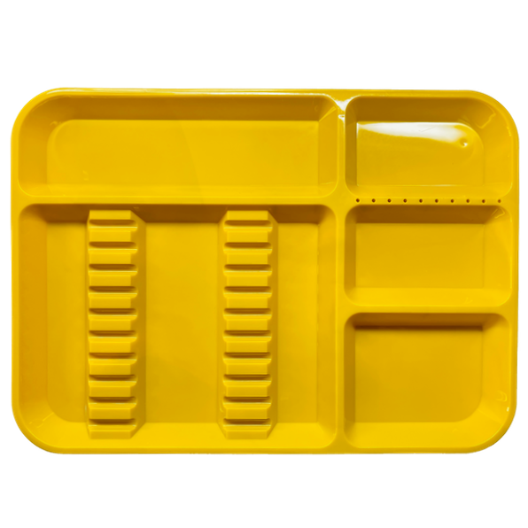Dental instruments plastic tray